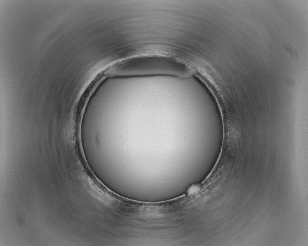 X0000110961116200906261336