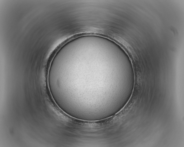 X0000110961120200906261336