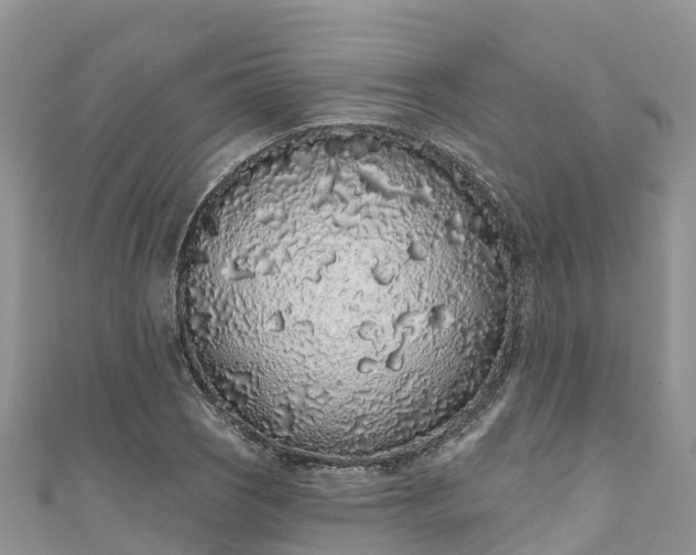 X0000110961121200906261336