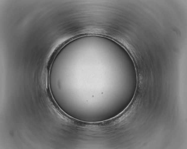 X0000110961123200906261336