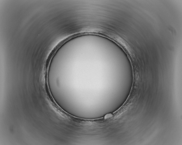 X0000110961124200906261336