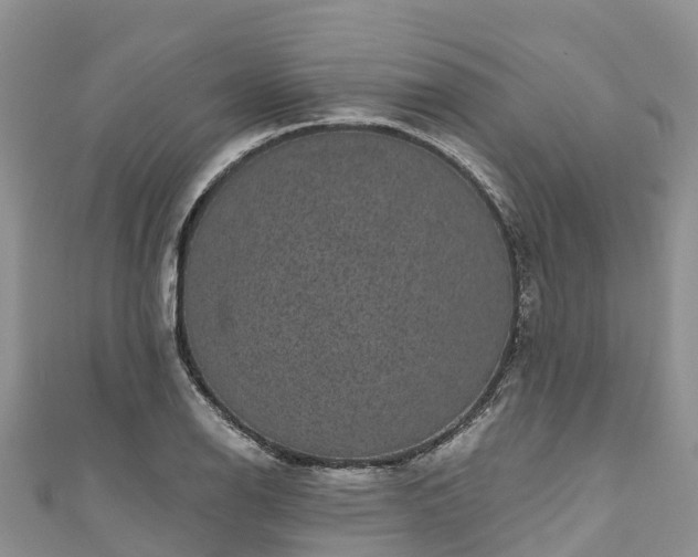 X0000110961126200906261336