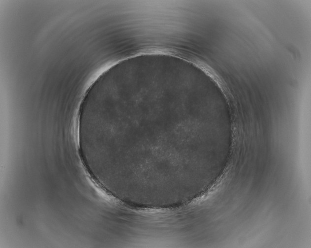 X0000110961127200906261336