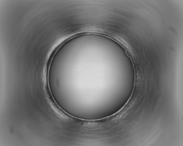 X0000110961128200906261336