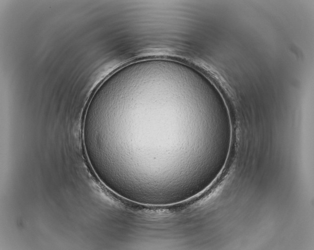 X0000110961129200906261336