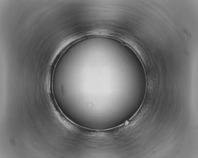 X0000110961131200906261336