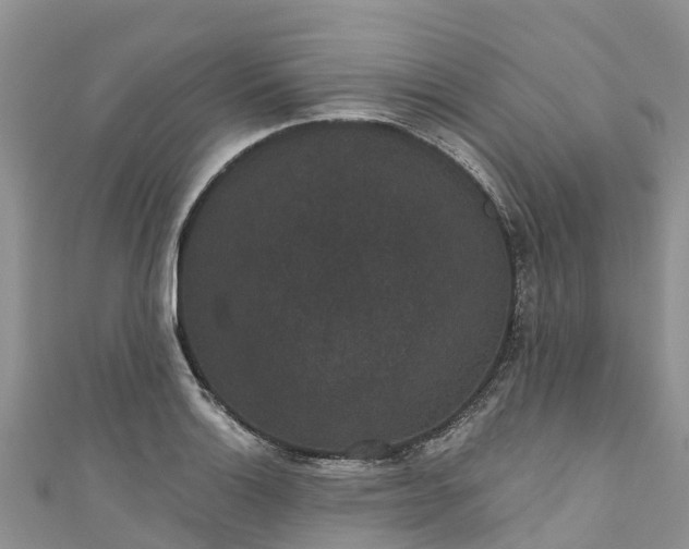 X0000110961132200906261336