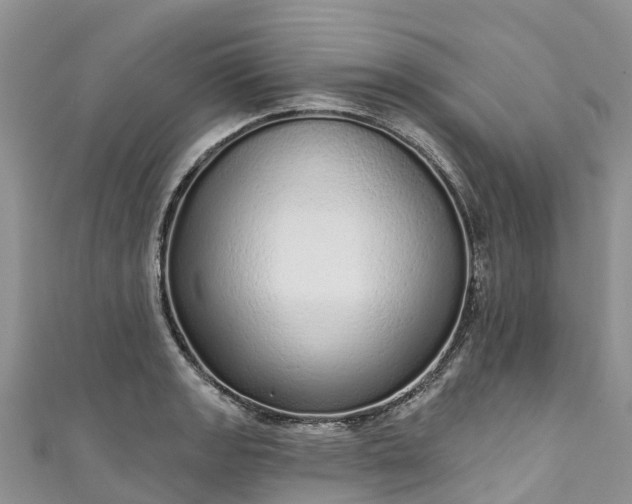 X0000110961133200906261336