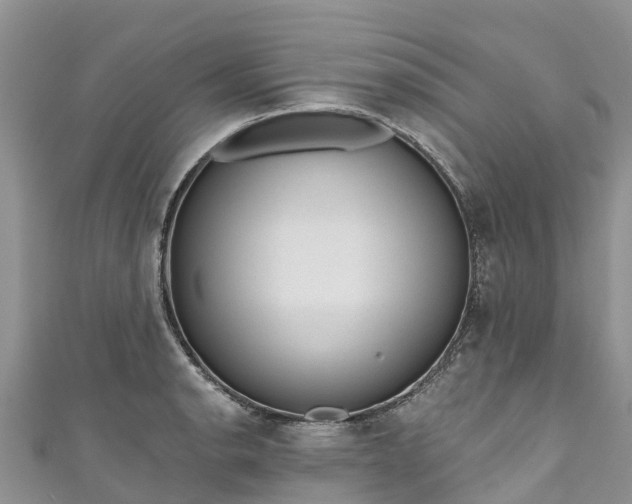 X0000110961134200906261336