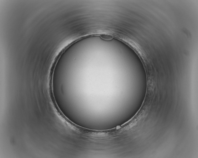 X0000110961135200906261336