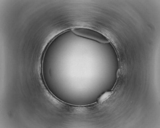 X0000110961136200906261336
