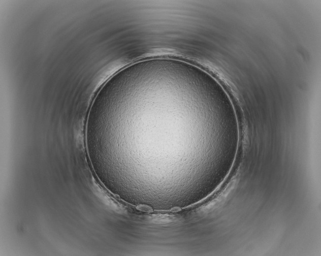 X0000110961137200906261336