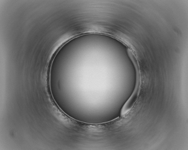 X0000110961138200906261336