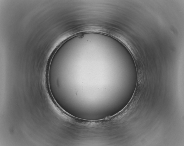 X0000110961139200906261336