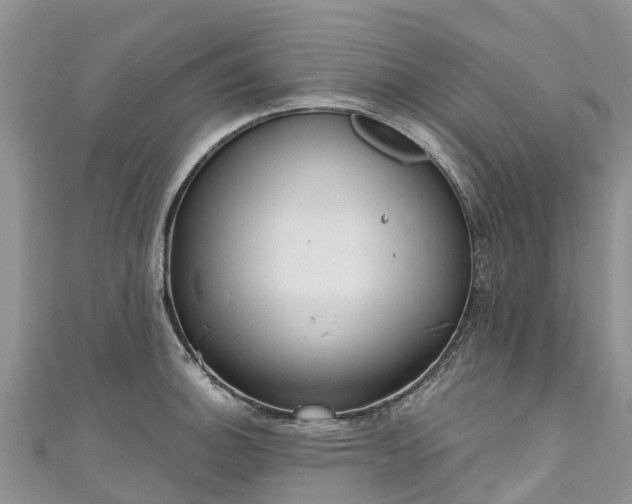 X0000110961140200906261336