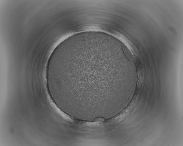 X0000110961142200906261336