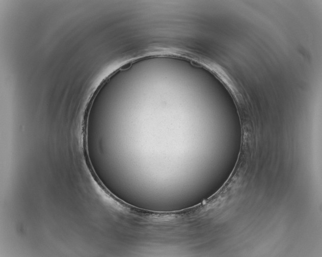 X0000110961143200906261336