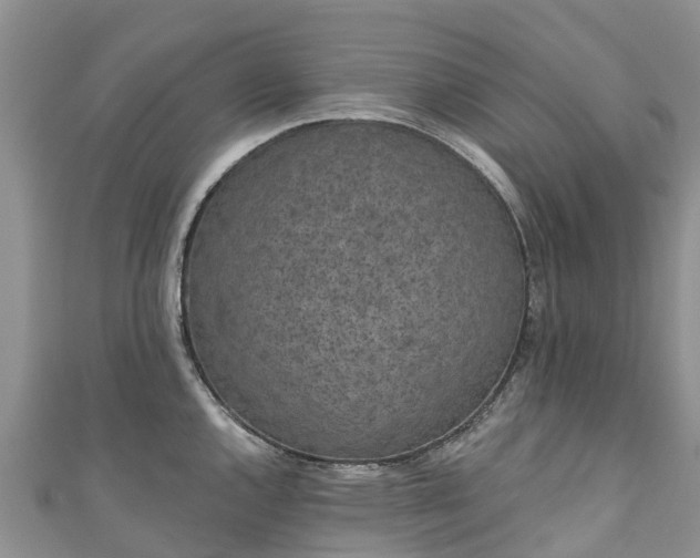 X0000110961144200906261336