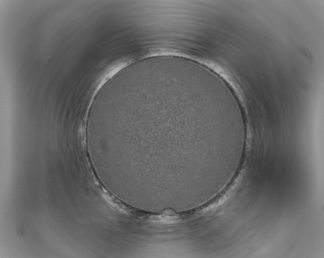 X0000110961145200906261336