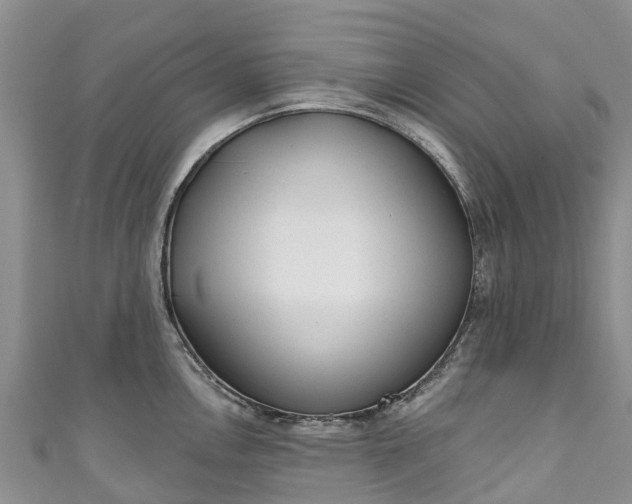 X0000110961146200906261336