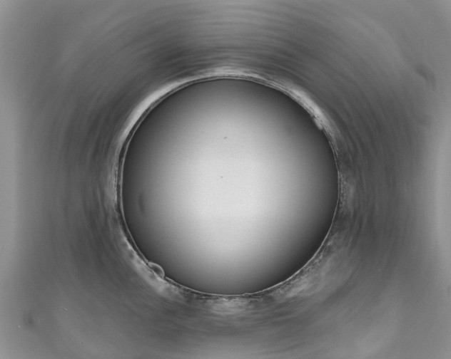 X0000110961148200906261336