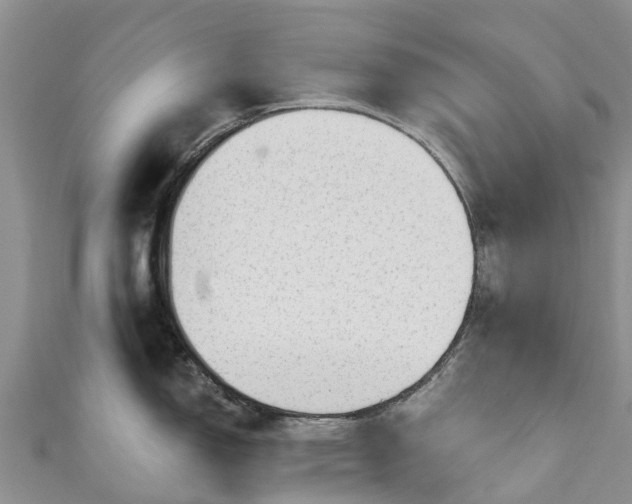 X0000110961150200906261336