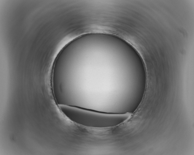 X0000110961152200906261336