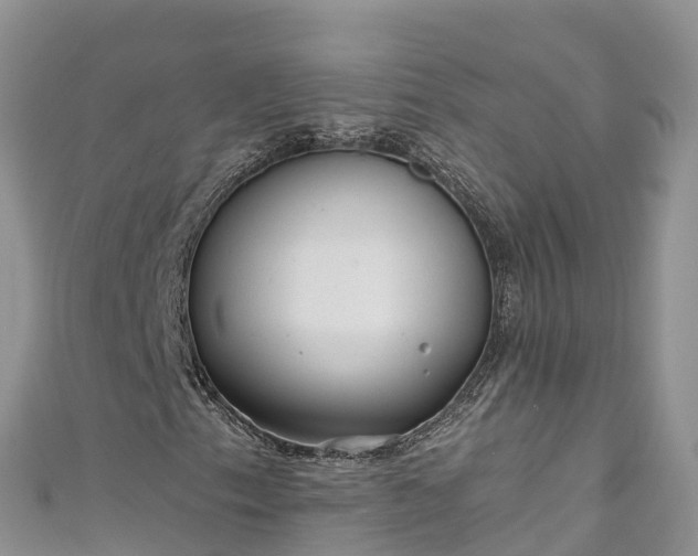 X0000110961153200906261335