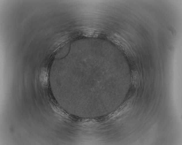 X0000110961154200906261335
