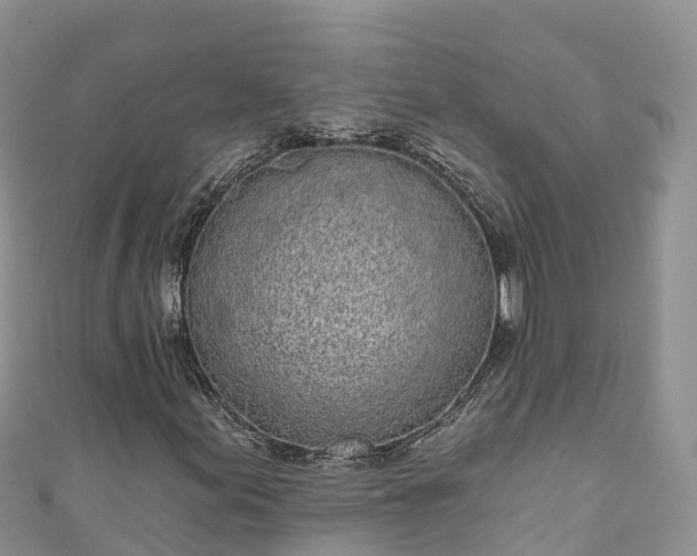 X0000110961155200906261335