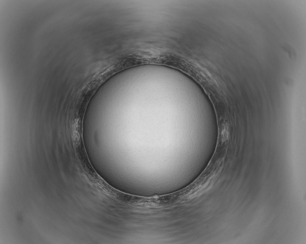 X0000110961156200906261335