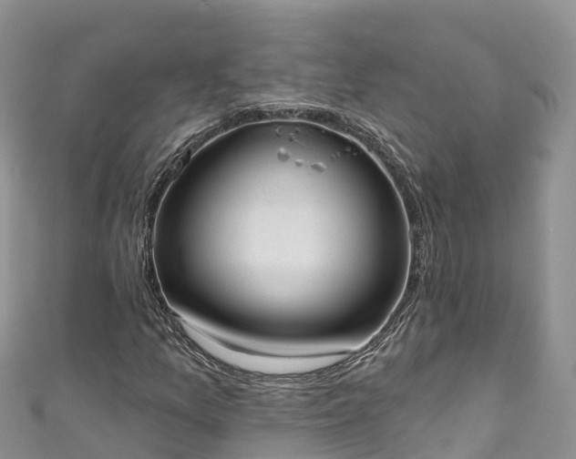 X0000110961157200906261335