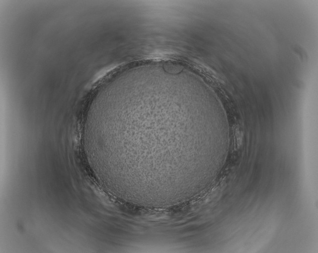 X0000110961158200906261335