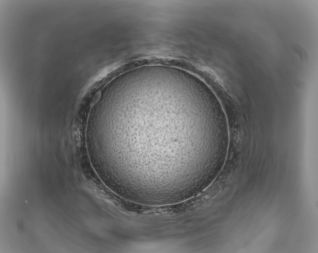 X0000110961159200906261335