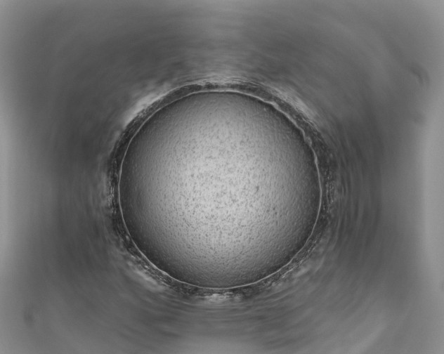 X0000110961160200906261335