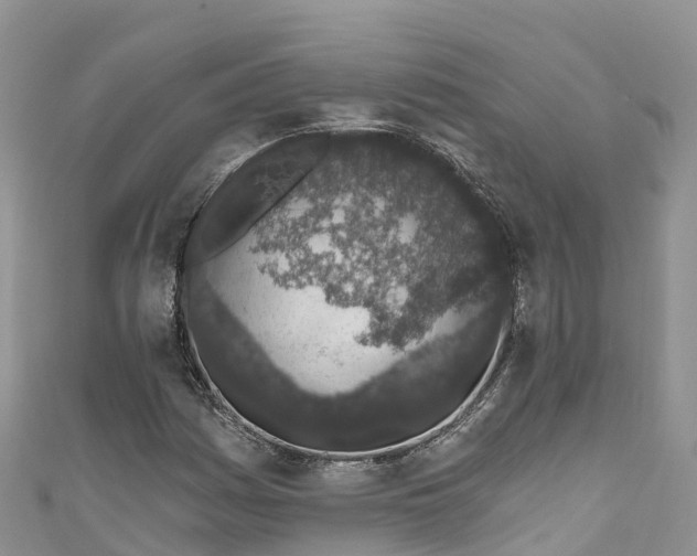 X0000110961161200906261335