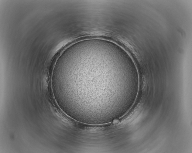 X0000110961163200906261335
