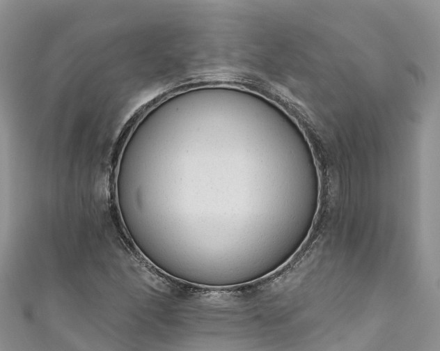 X0000110961166200906261335
