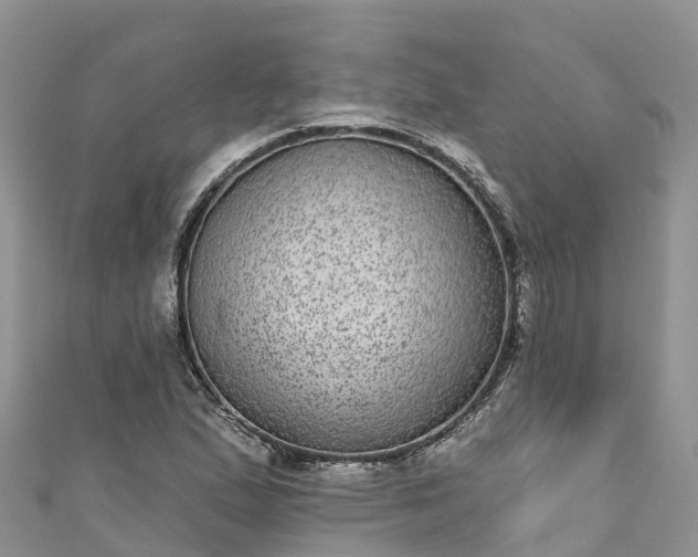 X0000110961167200906261335