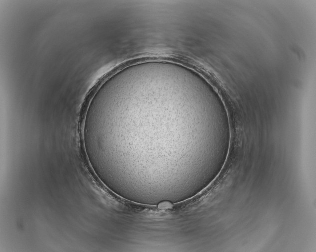 X0000110961168200906261335