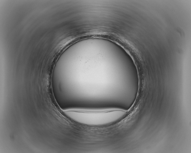 X0000110961169200906261335