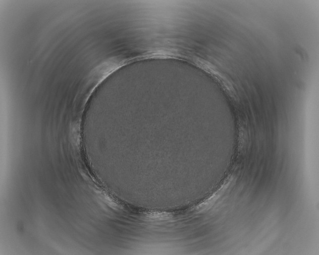 X0000110961170200906261335