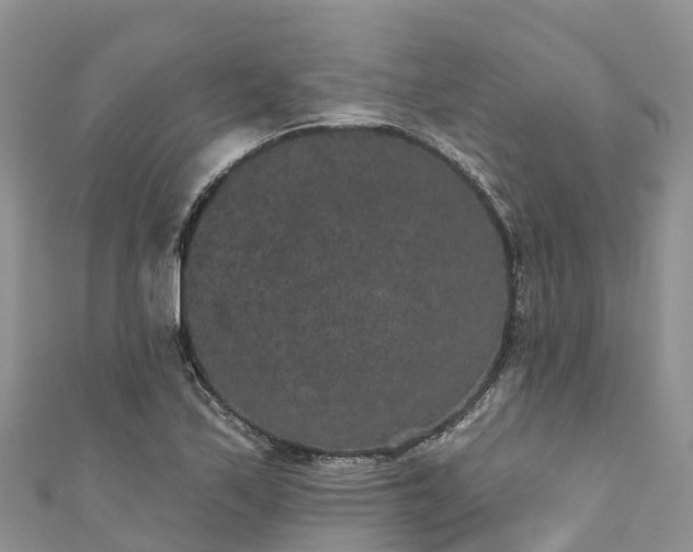 X0000110961171200906261335