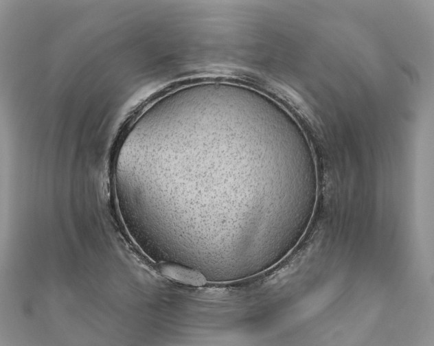 X0000110961172200906261335