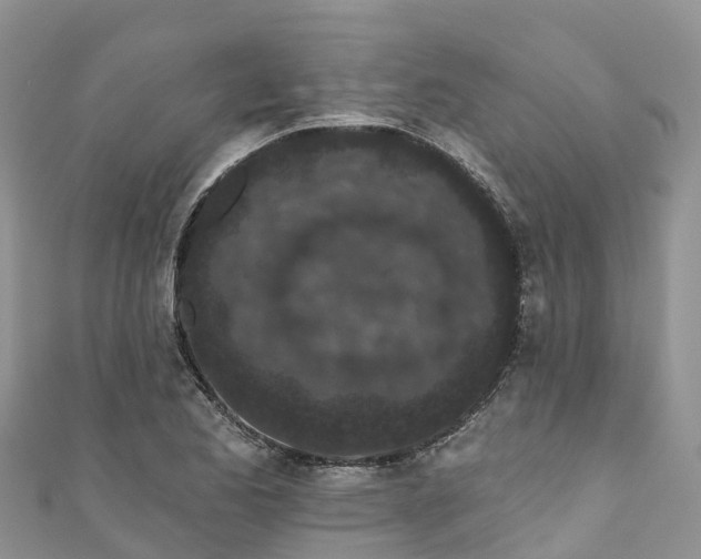 X0000110961173200906261335