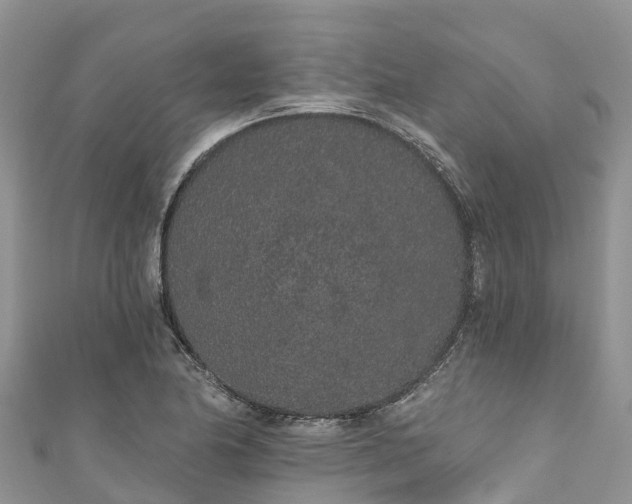 X0000110961174200906261335