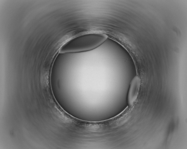 X0000110961177200906261335