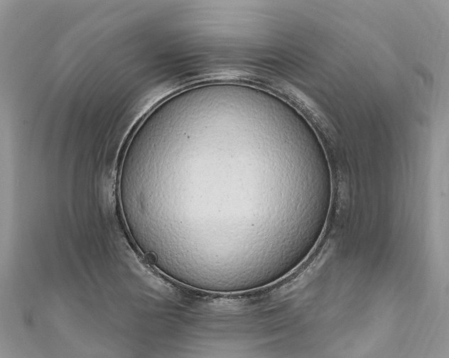 X0000110961178200906261335