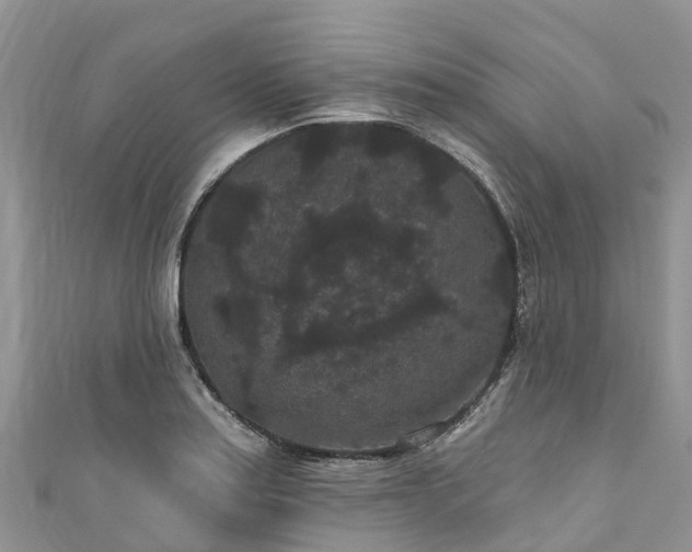 X0000110961179200906261335