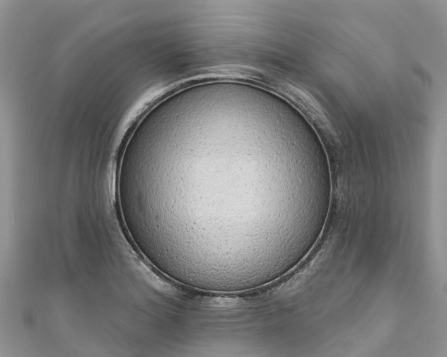 X0000110961180200906261335